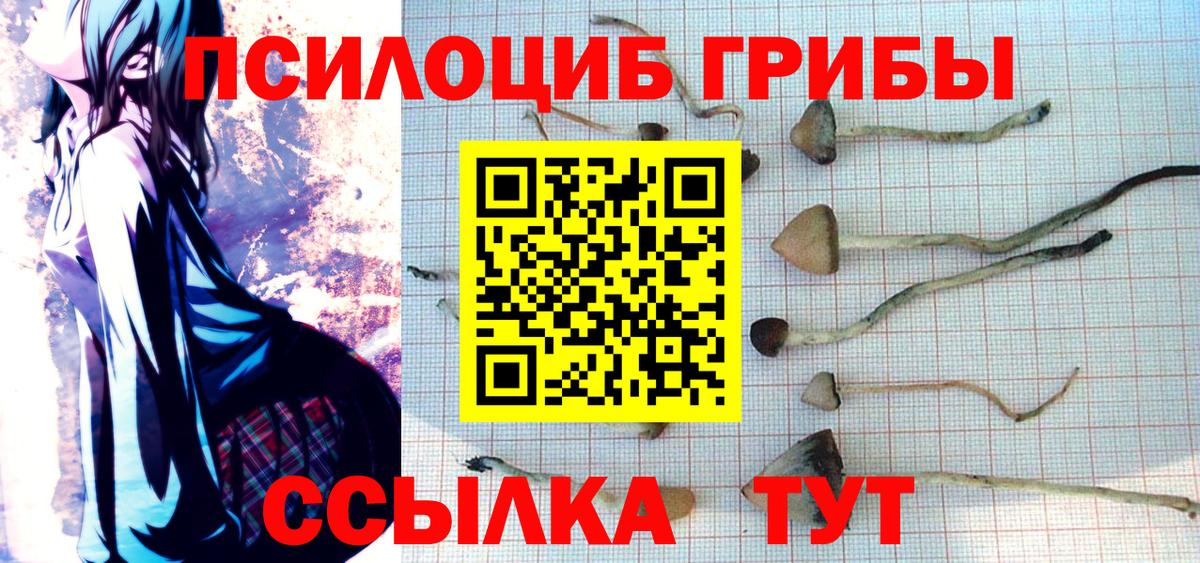 Галлюциногенные грибы MAGIC MUSHROOMS Красноярск
