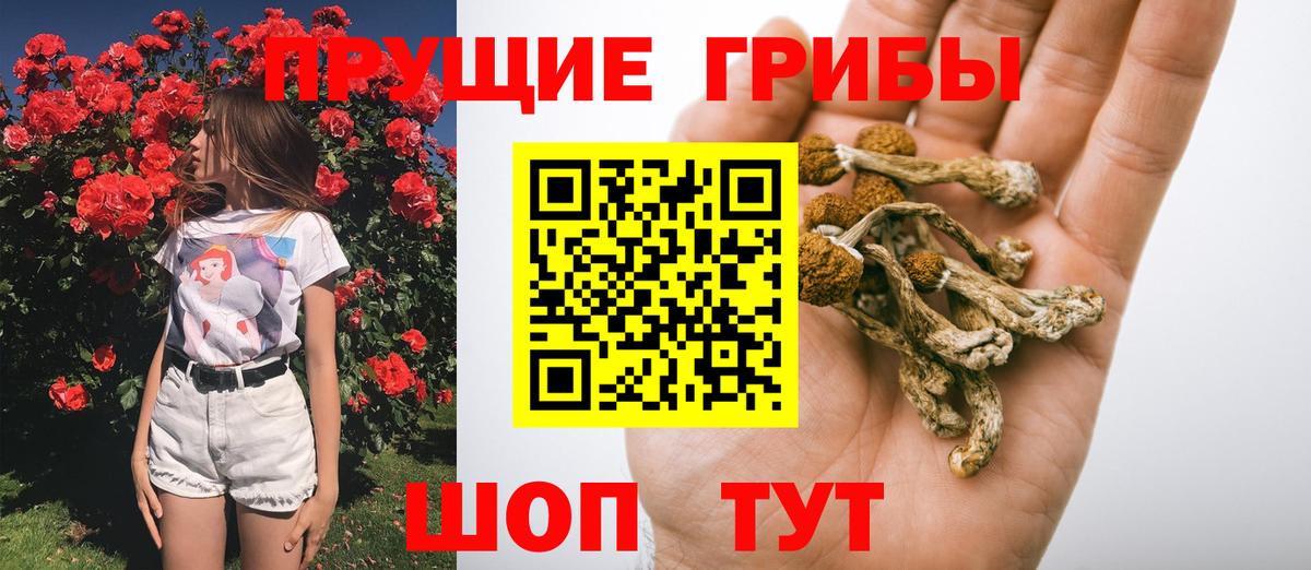 Красноярск  Галлюциногенные грибы Psilocybe  Вход с VPN  Галлюциногенные грибы мицелий 